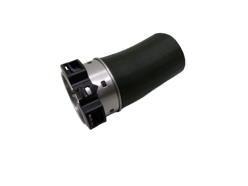 Hose Renault Megane III, Scenic III