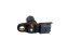 8200033686 Camshaft position sensor  Renault Clio II, Kangoo I, Megane II, Modus, Scenic II, Thalia I + II
