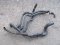 Engine cooling hose Renault Megane II 1.9 dCi 96 kW