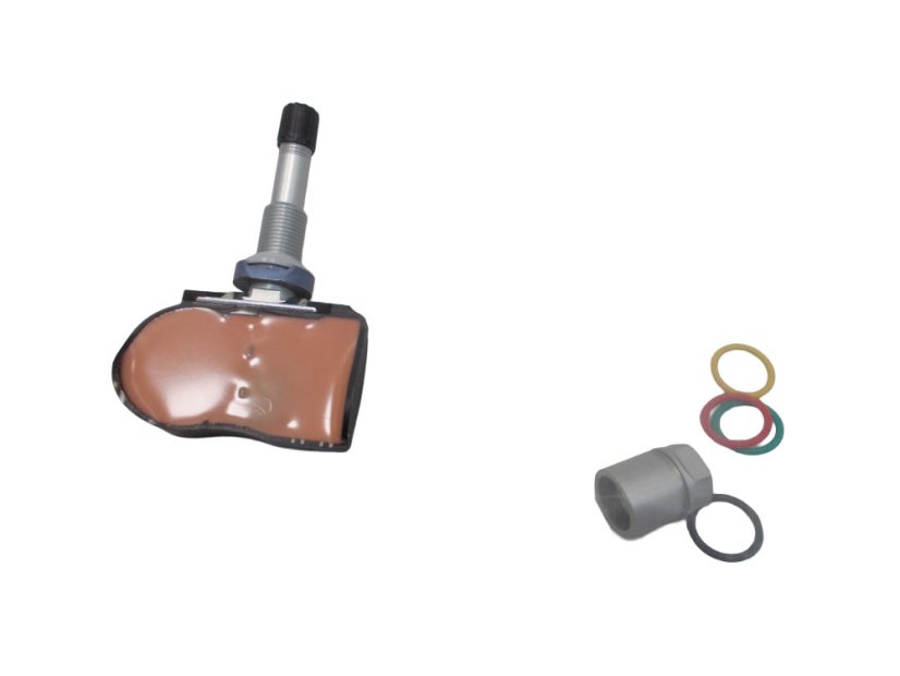 Capteur de pression des pneus TPMS Renault 407000435R