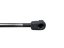 8200119498 Gas strut for the trunk lid Renault Megane II Grandtour