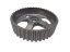 Timing gear Renault 1.9d/dCi/dTi, 40 teeth