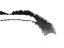 620221112R Front bumper Renault Clio IV, without grilles