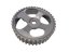 Timing gear Renault 1.9d/dCi/dTi, 40 teeth