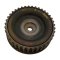 2552905 Spring-loaded timing wheel on camshaft Renault Laguna II, Scenic II