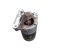 7700274351, M002T13581 Rozrusznik Renault Clio II, Thalia I 1.4i 55 kW