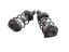 Set of left + right front shock absorber with spring Renault Modus 1.5 dCi